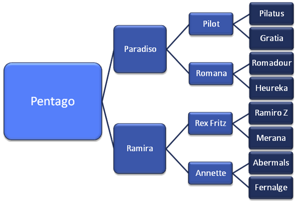 abstammungPentagon